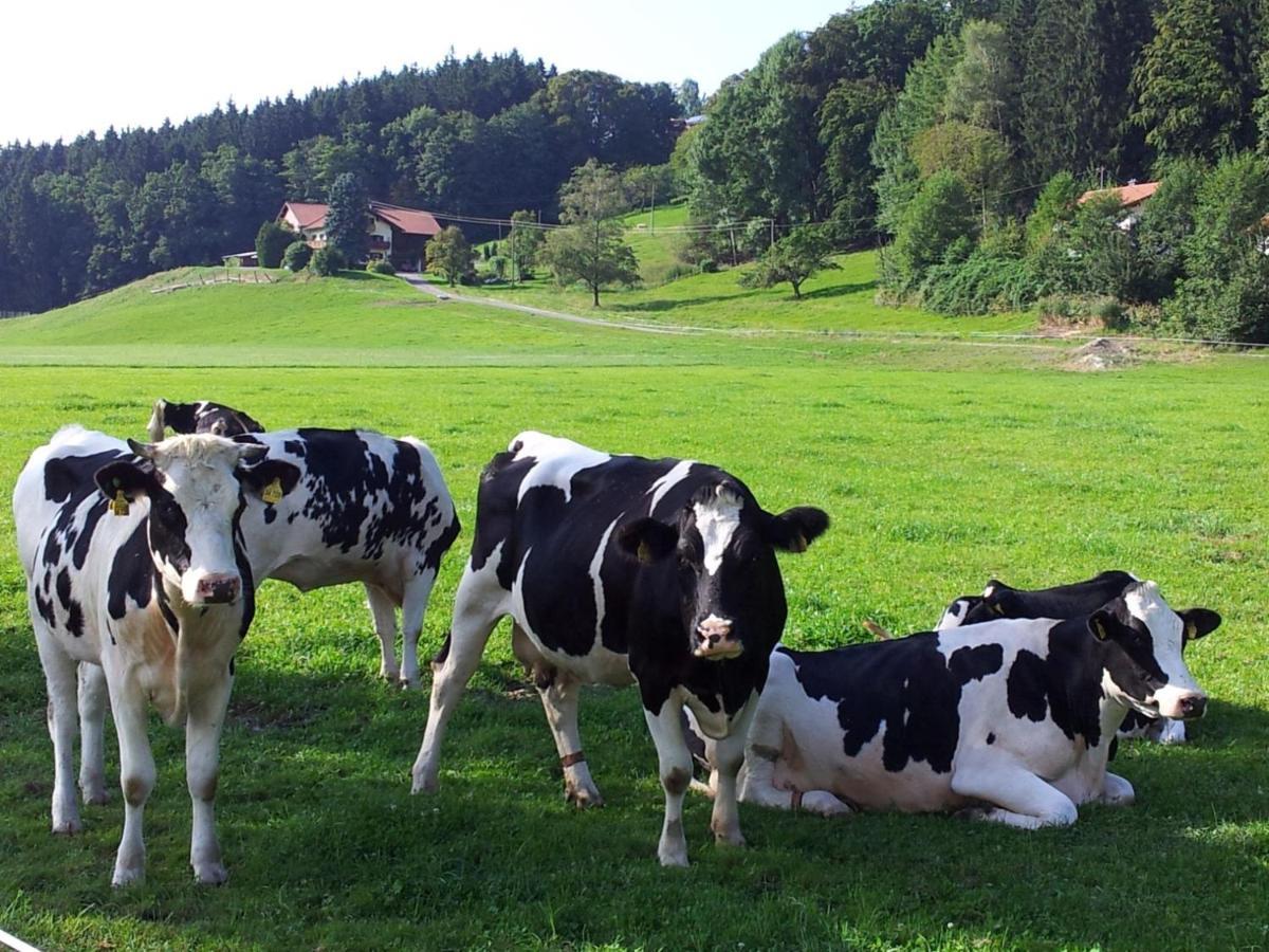 Direkt Zwischen Chiemsee U Alpen Dg Bernau am Chiemsee Εξωτερικό φωτογραφία